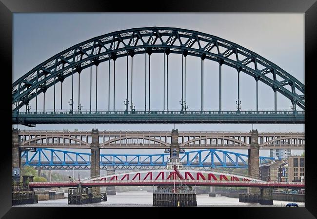 Newcastle upon Tyne Bridges Framed Print by Martyn Arnold
