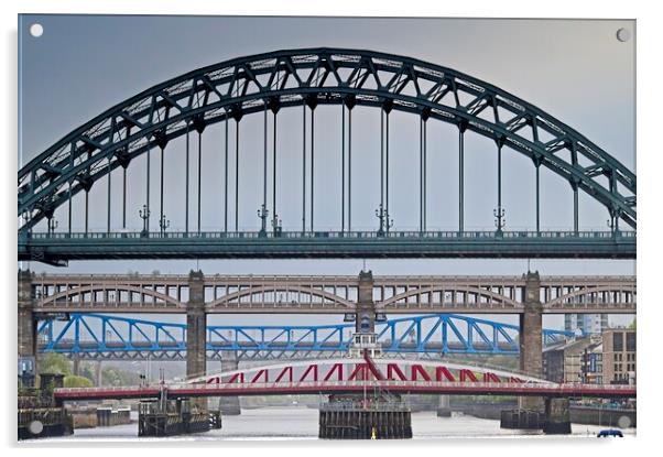 Newcastle upon Tyne Bridges Acrylic by Martyn Arnold