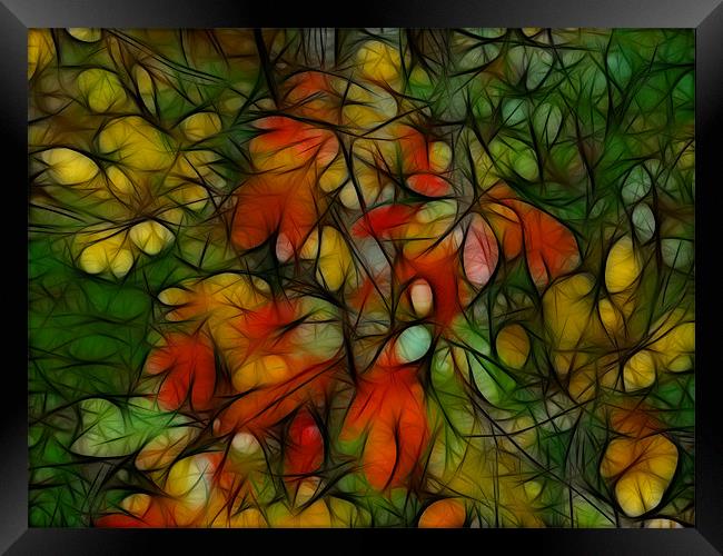 Autumn Abstract Framed Print by Kathleen Stephens