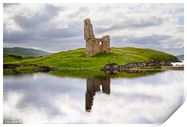 Ardvreck castle Print by Darrell Evans