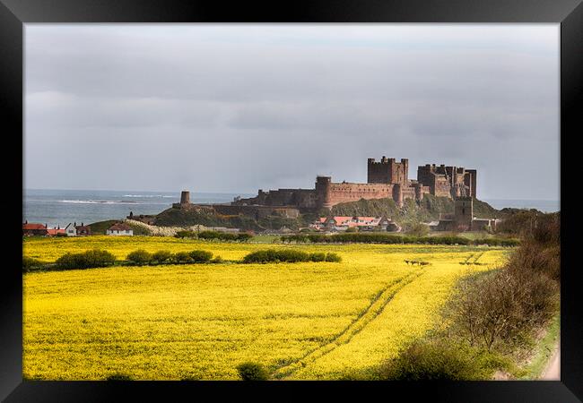 Bamburgh Castle Framed Print by Ceri Jones