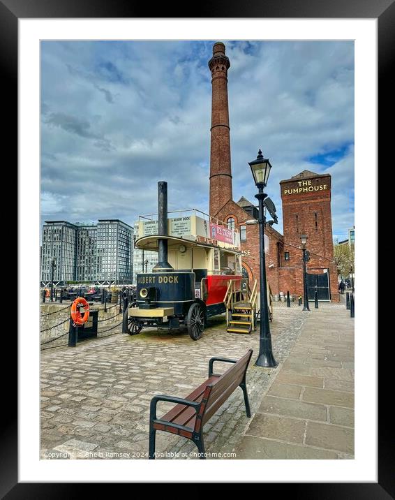Royal Albert Dock Liverpool Framed Mounted Print by Sheila Ramsey