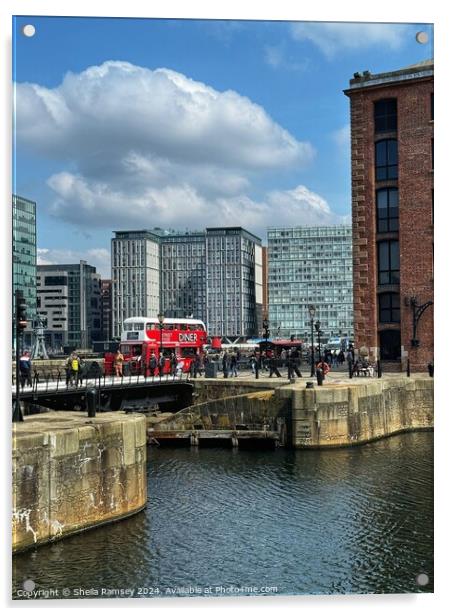 Albert Dock Liverpool Acrylic by Sheila Ramsey