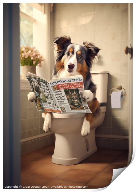 Australian Shepherd on the Toilet Print by Craig Doogan
