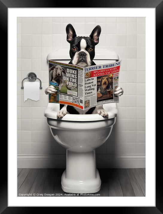 Boston Terrier on the Toilet Framed Mounted Print by Craig Doogan