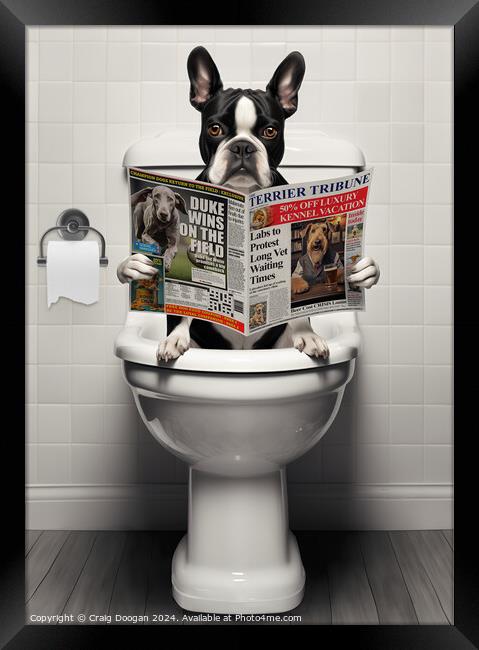 Boston Terrier on the Toilet Framed Print by Craig Doogan