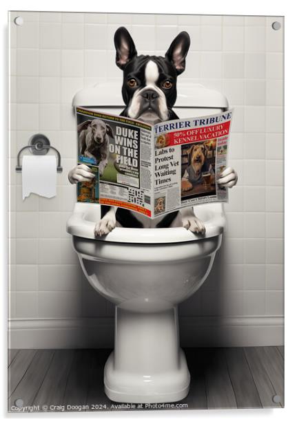 Boston Terrier on the Toilet Acrylic by Craig Doogan