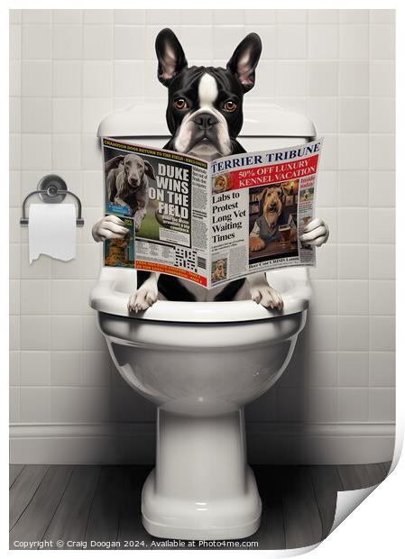 Boston Terrier on the Toilet Print by Craig Doogan