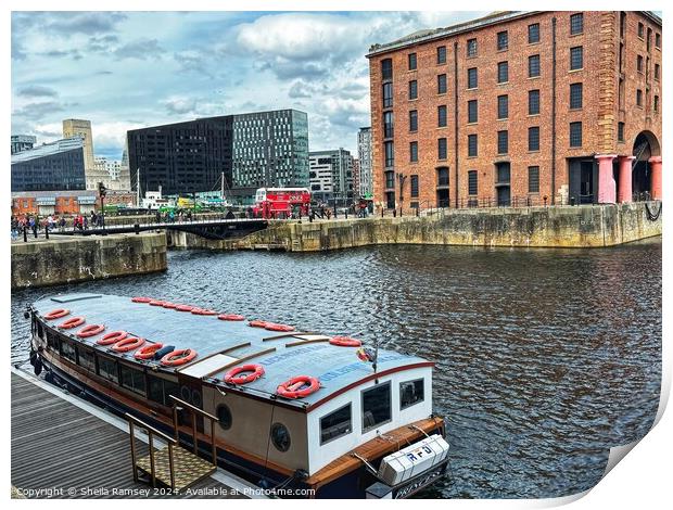 Tourist Boat Royal Albert Dock Print by Sheila Ramsey