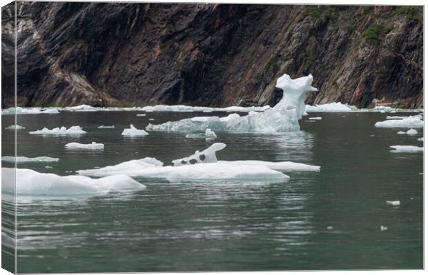 Outdoor Strangely shaped growlers (little icebergs) floating in Icy Bay in Alaska, USA Canvas Print by Dave Collins