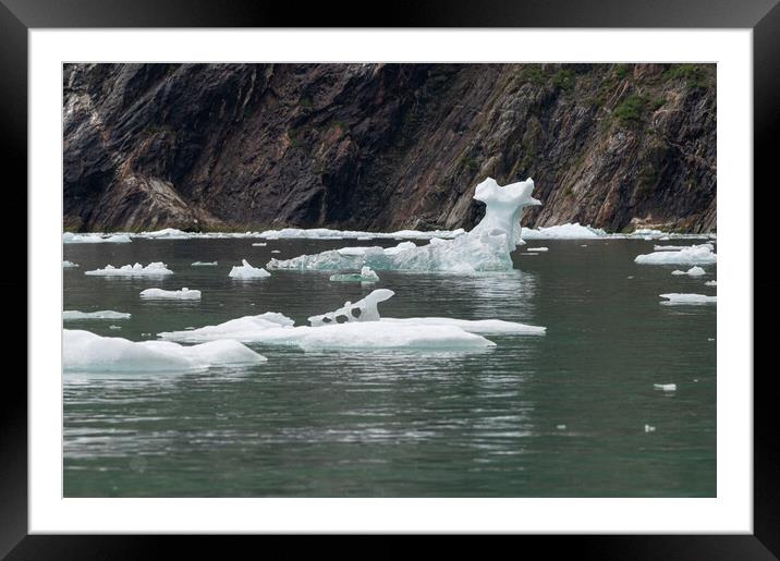 Outdoor Strangely shaped growlers (little icebergs) floating in Icy Bay in Alaska, USA Framed Mounted Print by Dave Collins