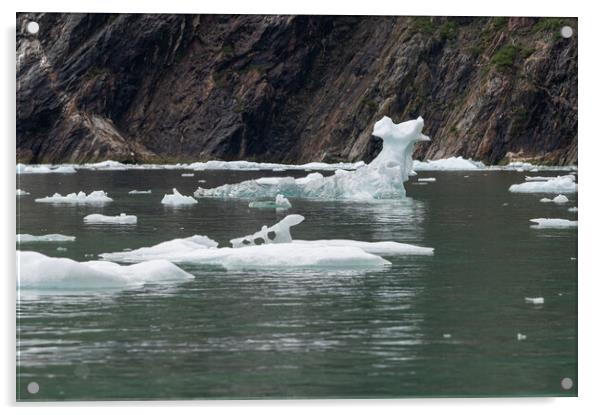 Outdoor Strangely shaped growlers (little icebergs) floating in Icy Bay in Alaska, USA Acrylic by Dave Collins