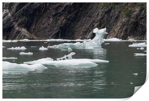 Outdoor Strangely shaped growlers (little icebergs) floating in Icy Bay in Alaska, USA Print by Dave Collins