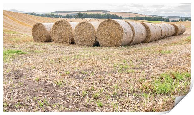 Hay bales lined up after the harvest in the UK Print by Dave Collins