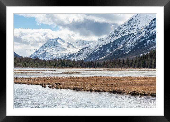 Tern Lake at the intersection of the Seward and Sterling highways, Alaska, USA Framed Mounted Print by Dave Collins