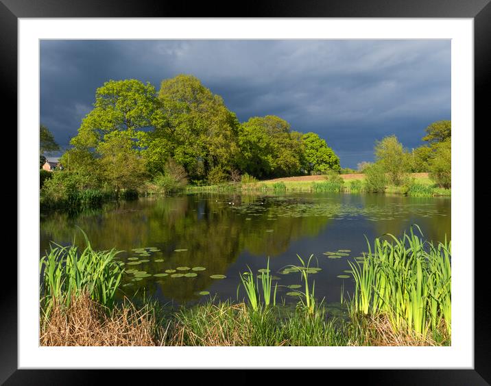 The Pond Framed Mounted Print by Clive Eariss