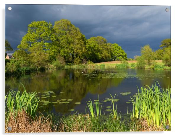 The Pond Acrylic by Clive Eariss