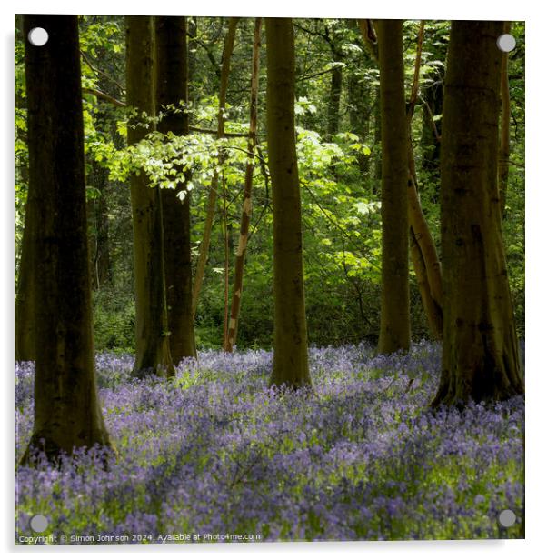 Bluebell Woodland  Acrylic by Simon Johnson