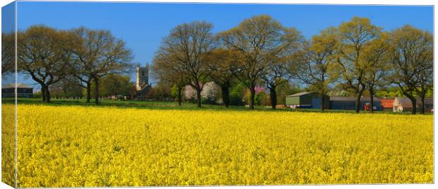 High Melton and Rapeseed Field Canvas Print by Darren Galpin