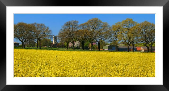 High Melton and Rapeseed Field Framed Mounted Print by Darren Galpin