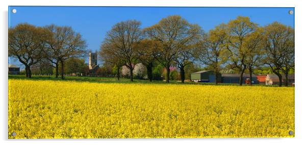 High Melton and Rapeseed Field Acrylic by Darren Galpin
