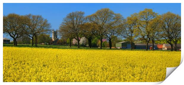 High Melton and Rapeseed Field Print by Darren Galpin