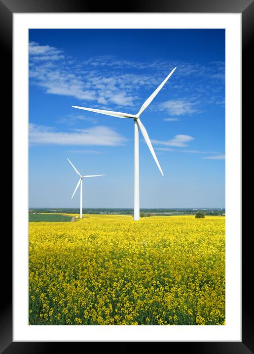Marr Wind Farm and Rapeseed Framed Mounted Print by Darren Galpin