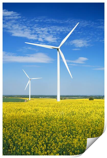 Marr Wind Farm and Rapeseed Print by Darren Galpin