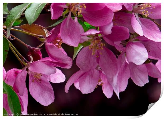 Plum Blossoms Print by Deanne Flouton