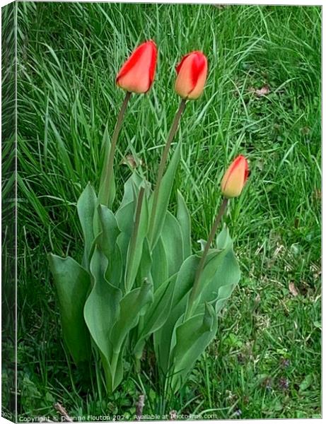 Three Scarlet Tulips Canvas Print by Deanne Flouton