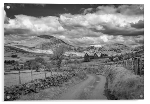Views around Llyn cwmystradllyn and its valley Acrylic by Gail Johnson