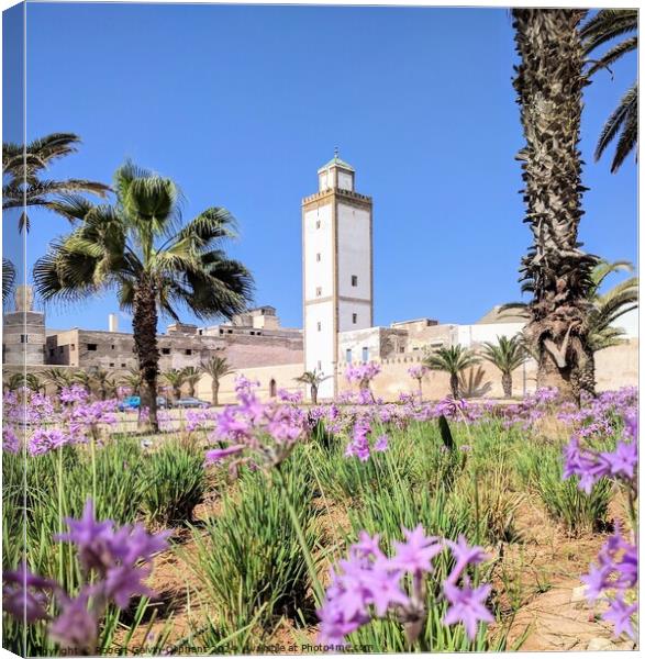 Pink flowers, palms, and mosque  Canvas Print by Robert Galvin-Oliphant