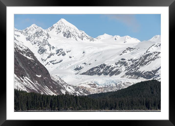 Snow Covered Glacier above the Harvard Arm in College Fjord, Alaska, USA Framed Mounted Print by Dave Collins