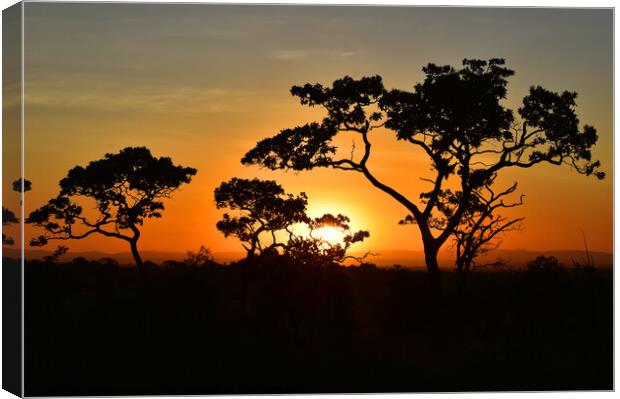 Sunrise in Serengeti Canvas Print by Kristine Sipola