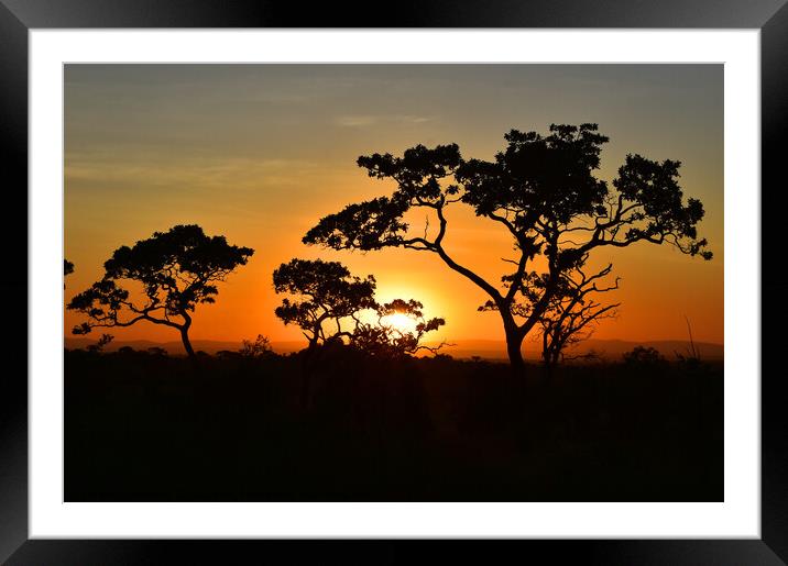 Sunrise in Serengeti Framed Mounted Print by Kristine Sipola