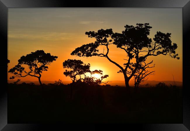 Sunrise in Serengeti Framed Print by Kristine Sipola