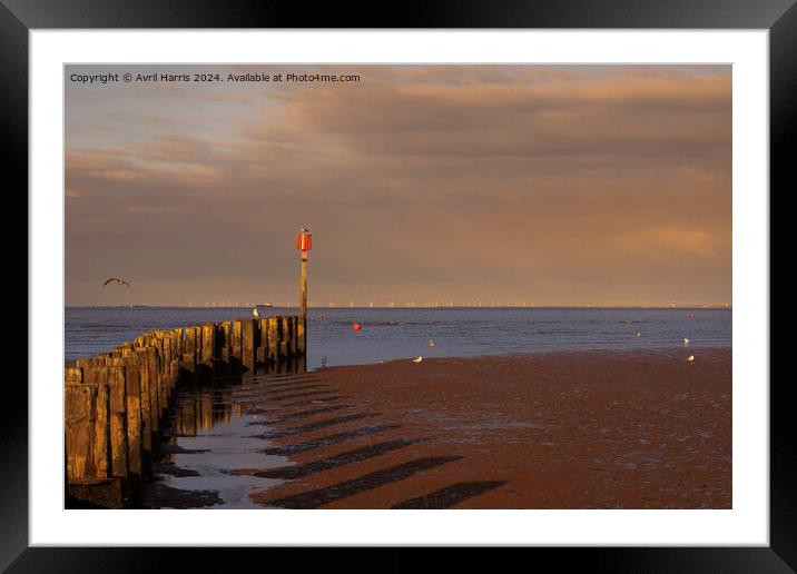 Golden Hour Cleethorpes beach Framed Mounted Print by Avril Harris