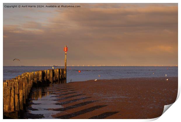Golden Hour Cleethorpes beach Print by Avril Harris