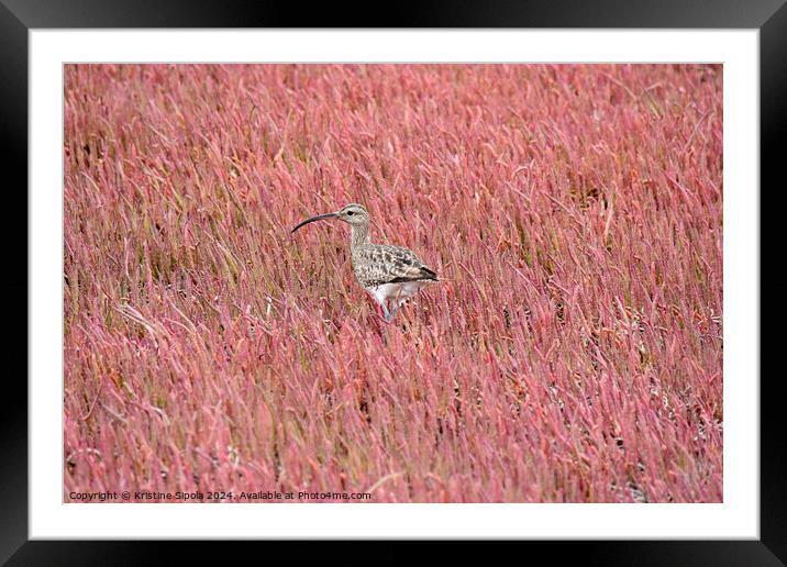Curlew in a pink field Framed Mounted Print by Kristine Sipola