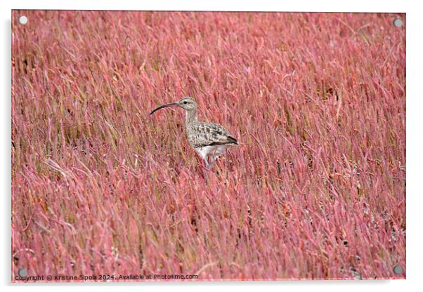 Curlew in a pink field Acrylic by Kristine Sipola