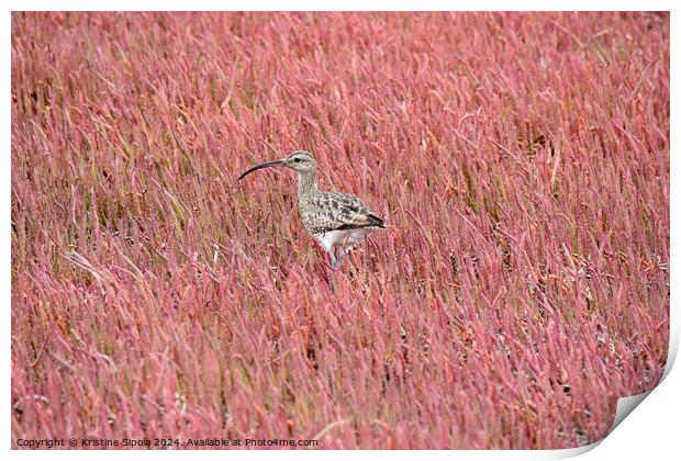 Curlew in a pink field Print by Kristine Sipola