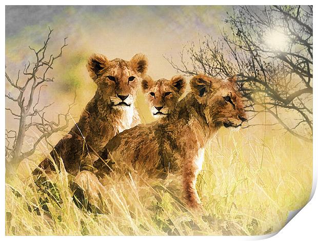 Lion Cubs Relaxing Print by Elaine Manley