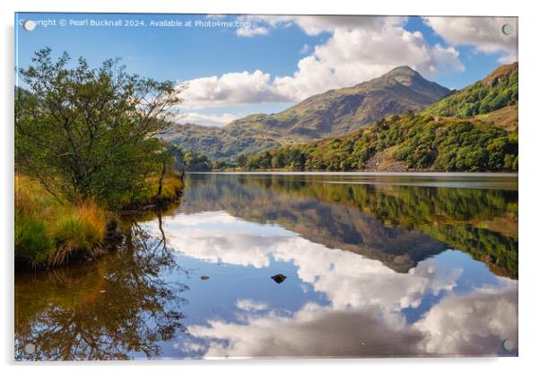 Reflections in Llyn Gwynant Lake Snowdonia Acrylic by Pearl Bucknall