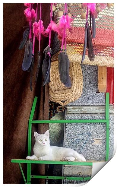 White cat reclining under feather dream catcher  Print by Robert Galvin-Oliphant