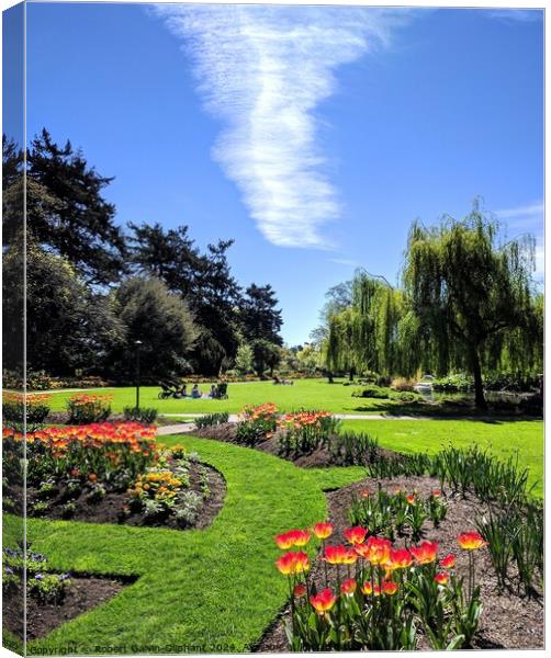 Spring park flowers and white cloud Canvas Print by Robert Galvin-Oliphant