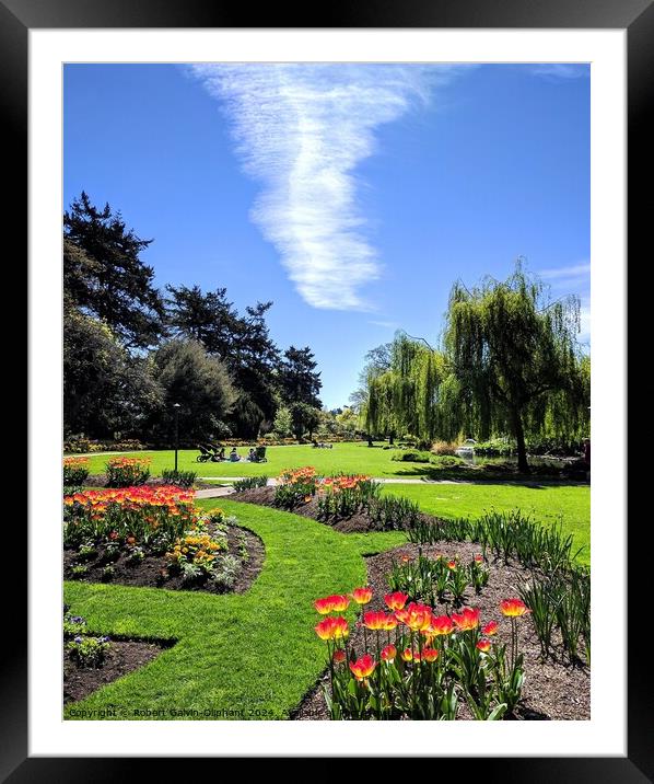Spring park flowers and white cloud Framed Mounted Print by Robert Galvin-Oliphant