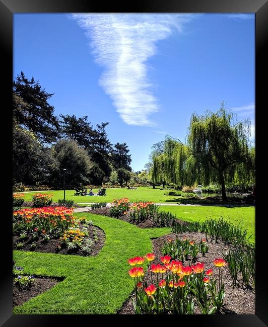 Spring park flowers and white cloud Framed Print by Robert Galvin-Oliphant