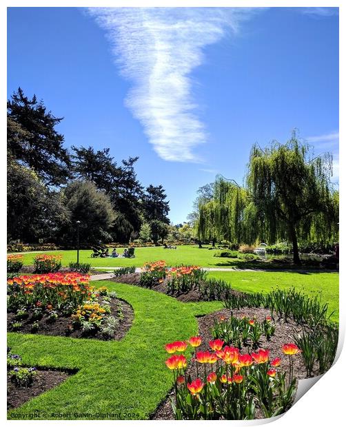 Spring park flowers and white cloud Print by Robert Galvin-Oliphant