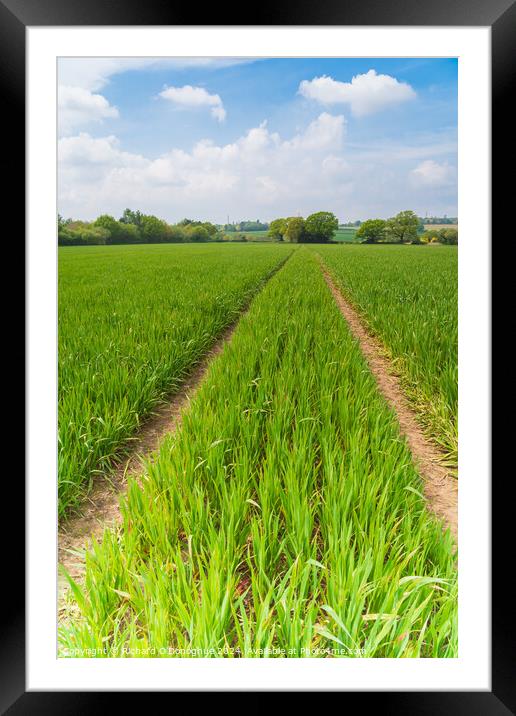 Outdoor field Framed Mounted Print by Richard O'Donoghue