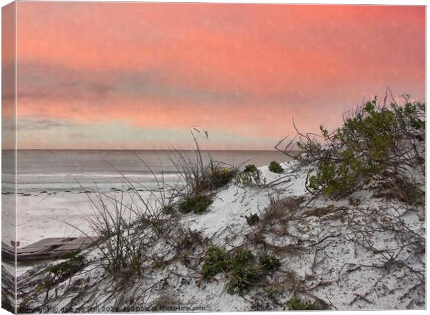 FLORIDA SUNSET SEA GRASS SOFT PINK Canvas Print by dale rys (LP)